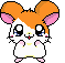 HAMTARO
